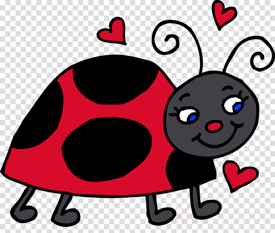Lady Bug Clip Art Clipart Ladybird Beetle Clip Art - Clip Art Lady Bug (900x760)