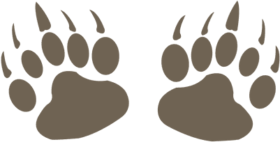 512 X 512 1 - Desenho Pegada De Urso (512x512)