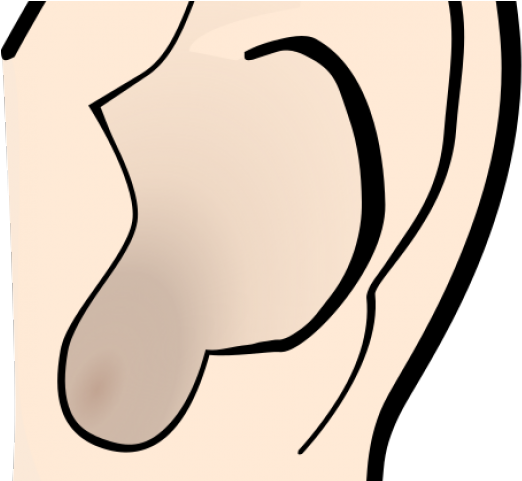 Eyeball Clipart Ear - Eyeball Clipart Ear (640x480)