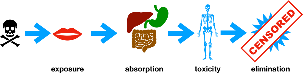 The Initial And Most Important Step In That Journey - The Initial And Most Important Step In That Journey (975x244)