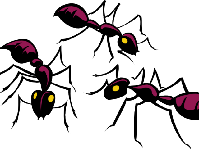 Sugar Clipart Ant - Ants Clipart (640x480)