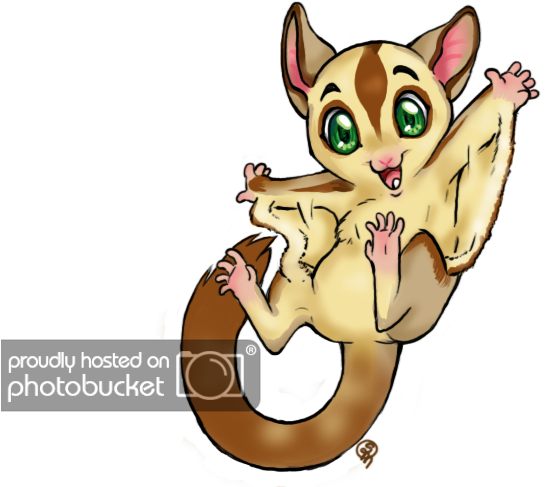 Glidergossip Hello I M New Here Are - Sugar Glider Png Format (640x500)