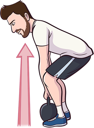 Kettlebell Central - Kettlebell Deadlift Muscles Worked (310x421)
