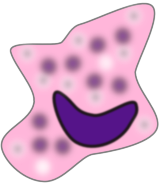 Macrophage Clip Art (522x596)