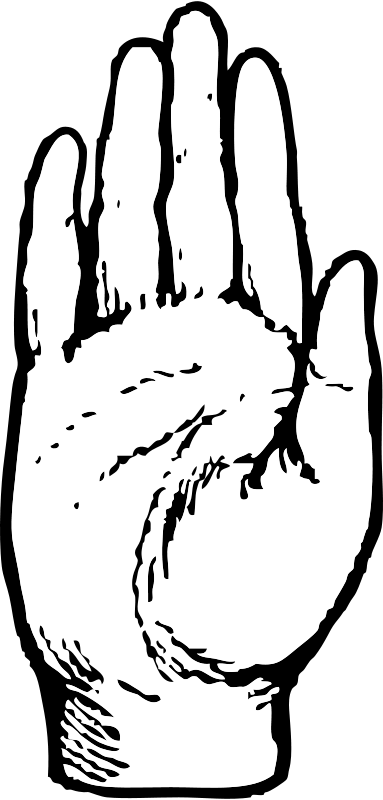 Right Hand Clip Art - Clip Art Hand Palm (383x800)