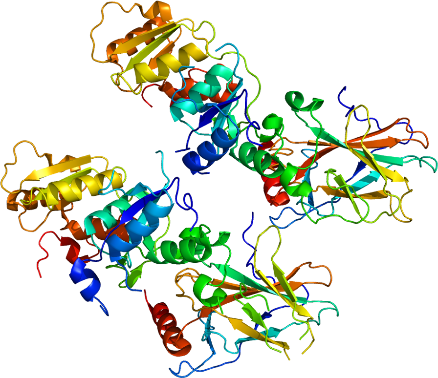Protein Tp53bp1 Pdb 1gzh - 53bp1 Protein (945x823)