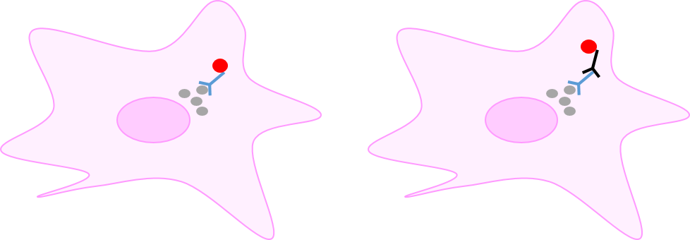 Direct Vs Indirect Detection - Direct Vs Indirect Detection (978x340)