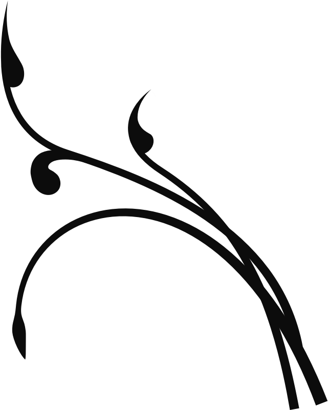 Twisted Branch - Branch Clip Art (800x800)