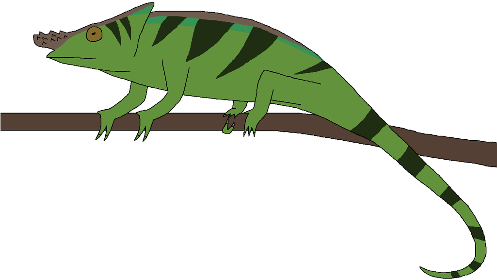 Long-nose Chameleon By Wildandnaturefan - Long-nose Chameleon By Wildandnaturefan (1024x659)