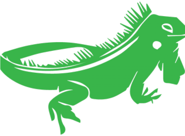 Chameleon Clipart Costa Rica - Transparent Background Iguana Clipart (640x480)