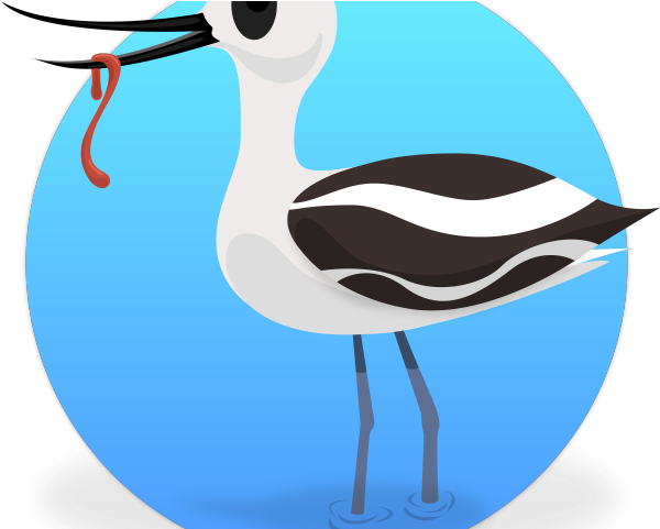 Tern Clipart Dictionary - Water Bird (640x480)