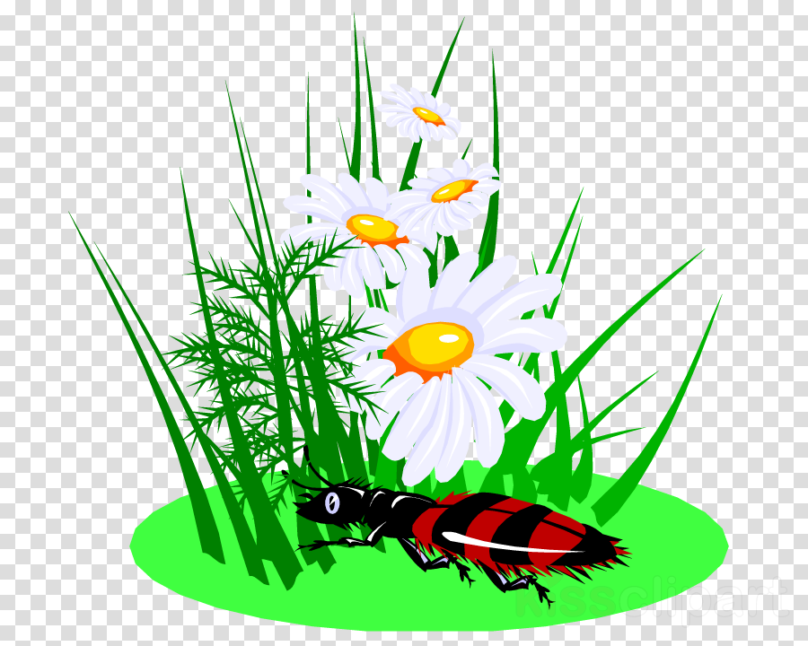 Beetle Clipart Floral Design Definition Dictionary - Hand Waving Png (900x720)