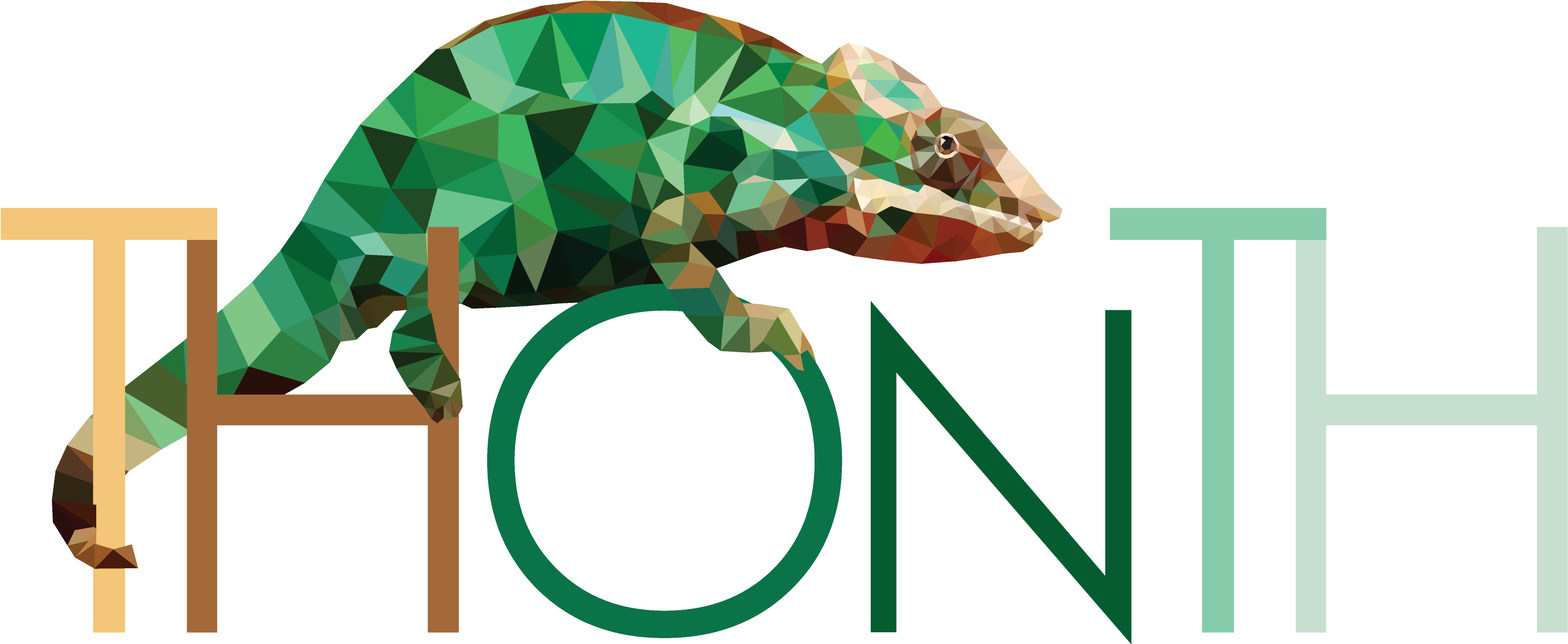 By Brian Shaw Last Updated Jul 10, - Common Chameleon (3700x1450)
