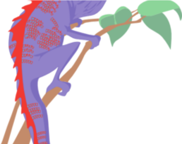Chameleon Clipart Chamelion - Lizard Eating Clipart (640x480)