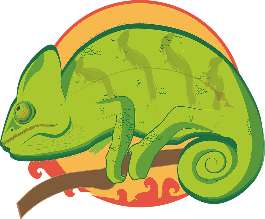 Svg Free Stock Chameleon Clipart Reptile - Illustration (870x720)
