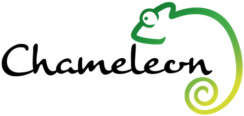 Chameleon Brick Tinting Services Logo - Chameleon Brick Tinting Services Logo (500x246)