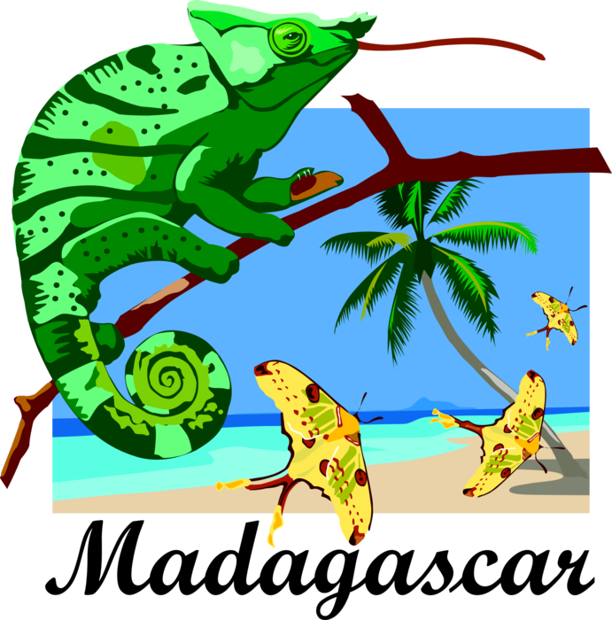 Image Royalty Free Stock Chameleon Clipart Vector - Chad Official Languages French (691x700)