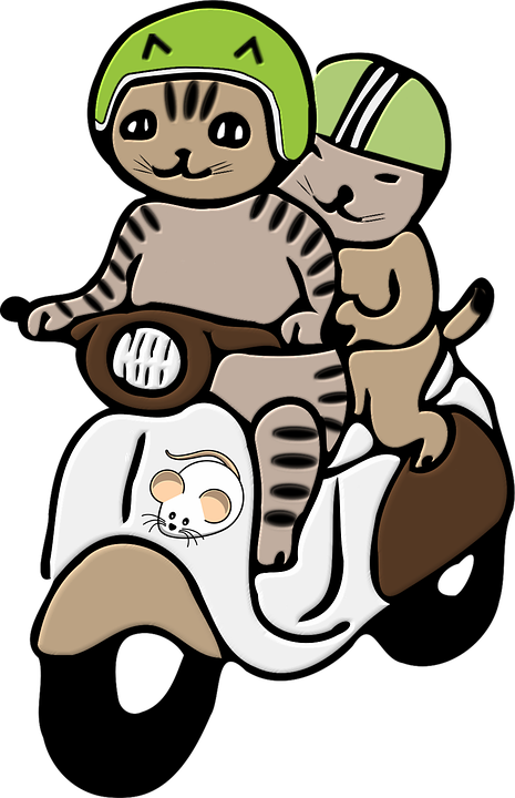Cats, Helmet, Png, Scooter, Motorcycle, Headlights - Gato En Moto Dibujo (465x720)