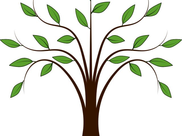 Heaven Clipart Mustard Tree - Tree With Leaves Cartoon (640x480)