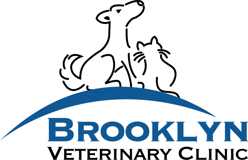 Brooklyn Veterinary Clinic, Castle Rock - Brooklyn Veterinary Clinic, Castle Rock (800x517)