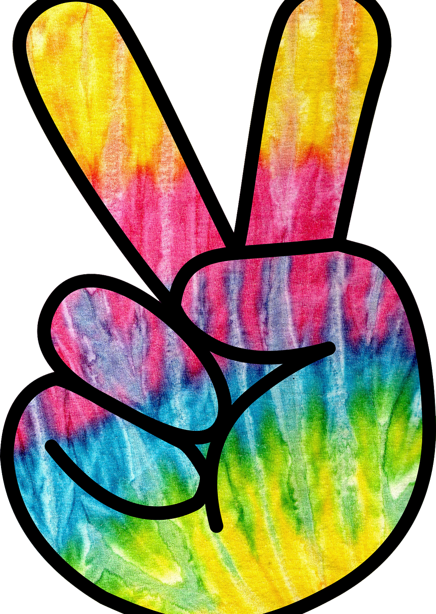 The Not So Groovy Decision To Buy The Too Big Too Expensive - Hippie Png (853x1200)