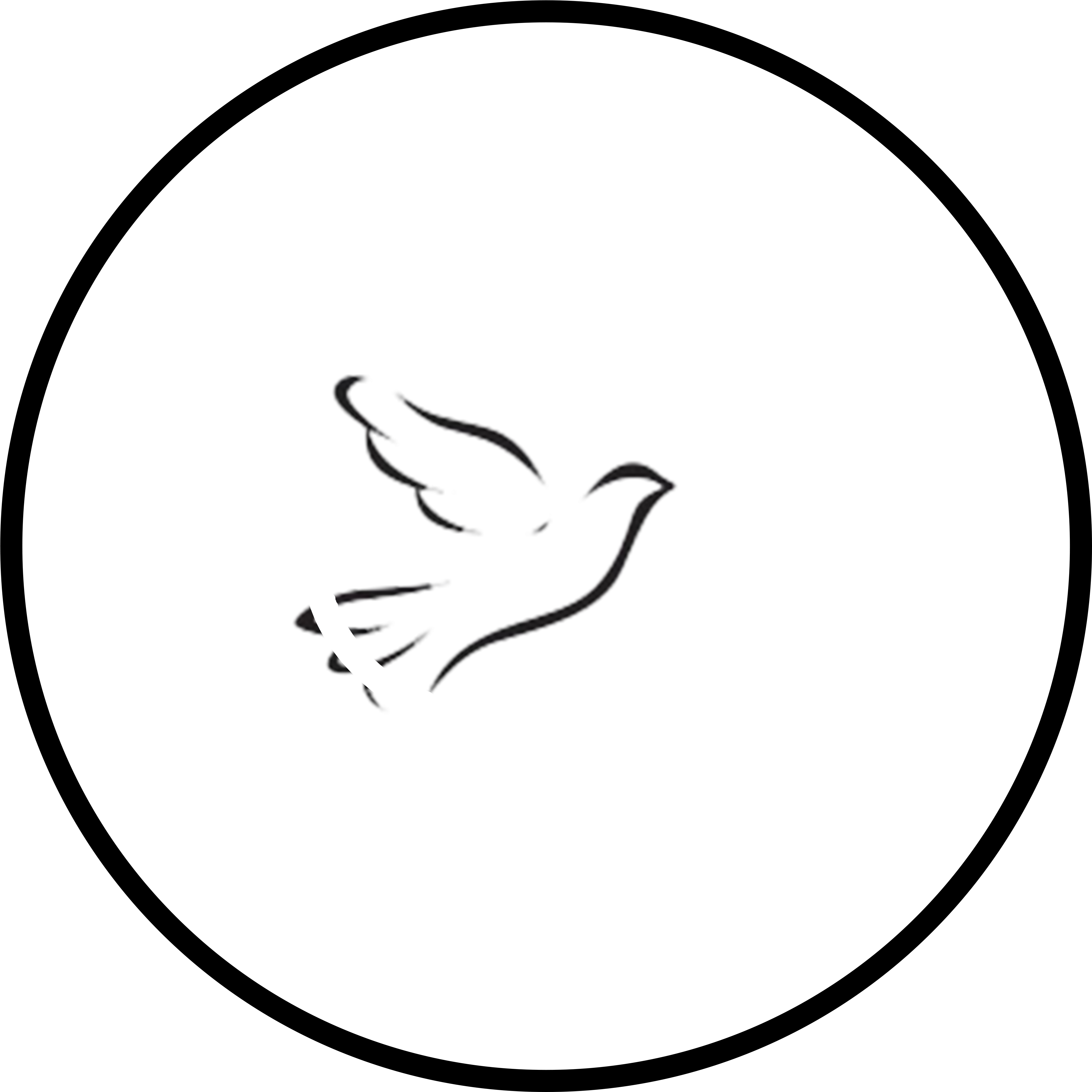 Scope Red (4500x4500)