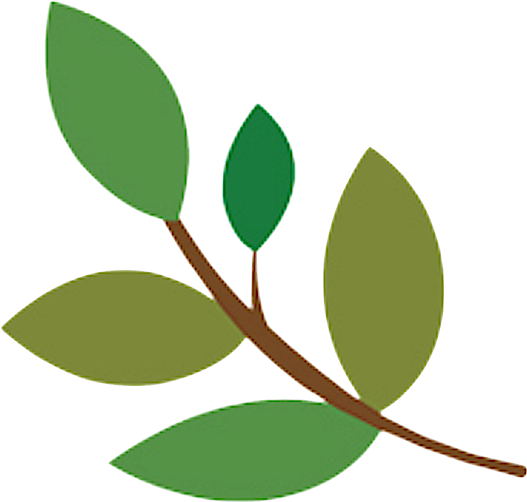Seeds Clipart Grew - Seeds Clipart Grew (533x505)