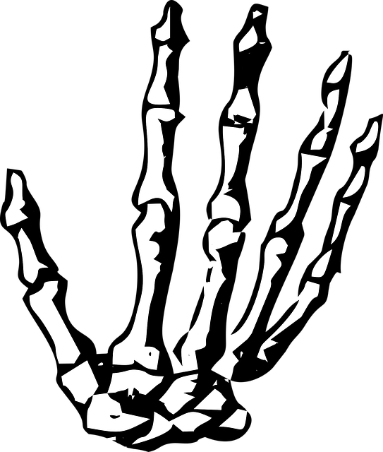 Skeleton Hand No Background (543x640)