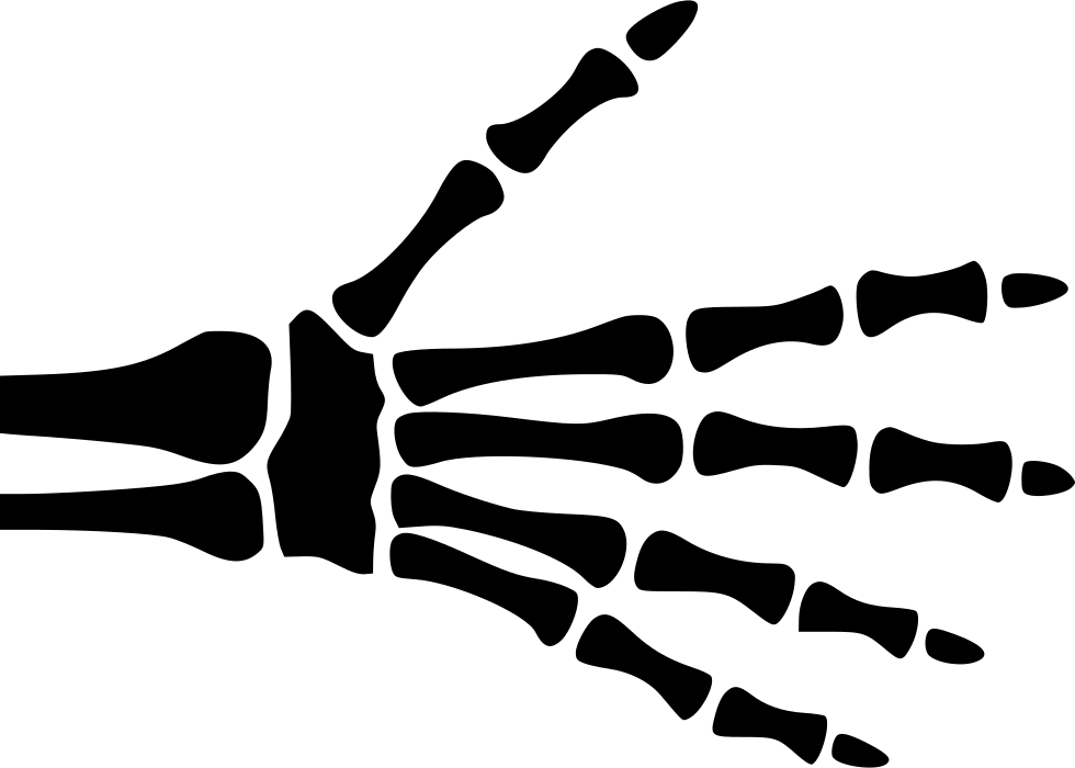 Hand Skeleton Comments - Png Hand X Ray (980x700)