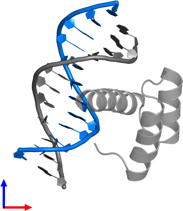 Pdb Entry 4rbo Contains 1 Copy Of 5' D 3' In Assembly - Networking Cables (800x800)