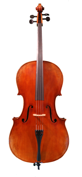 Cello Png Www Pixshark Com Images Galleries With A - Stradivarius Cello (324x700)