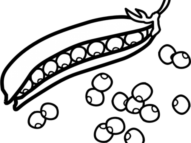 Pea Clipart Outline - Peas Black And White Clip Art (640x480)