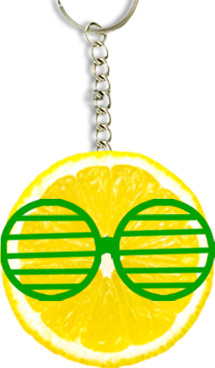 Lemon Tree Hotels, India - Chain (312x533)