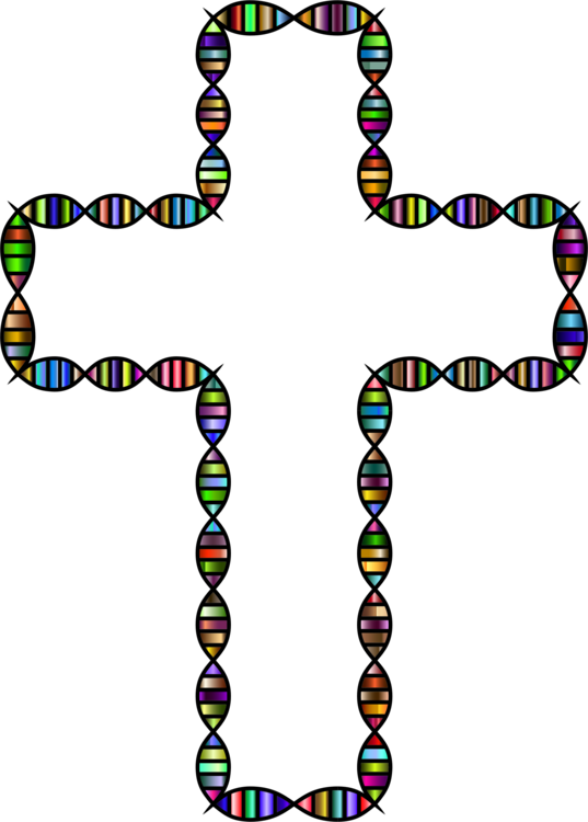 A Dna Nucleic Acid Double Helix Molecular Weight Size - Nucleic Acid Double Helix (537x750)