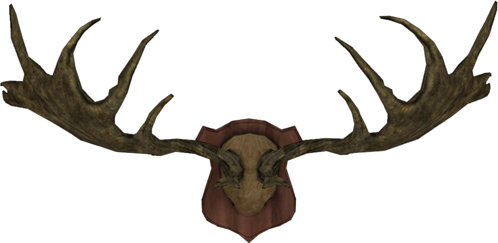 1007 X 493 9 - Antlers Trophy Png (1007x493)