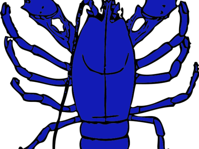 Crawfish Clipart Crustacean - Red Lobster Clip Art (640x480)