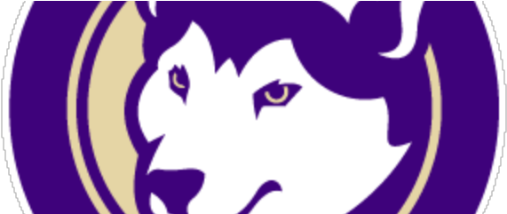 Talking Washington Huskies With Max Vrooman Of Uw Dawg - Washington Huskies Football (800x240)