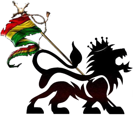 White Lion - Lion Of Judah (472x422)