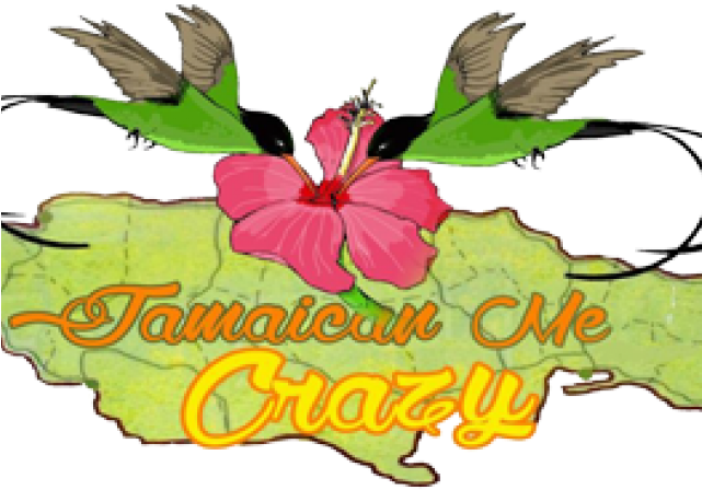 Hummingbird (640x480)