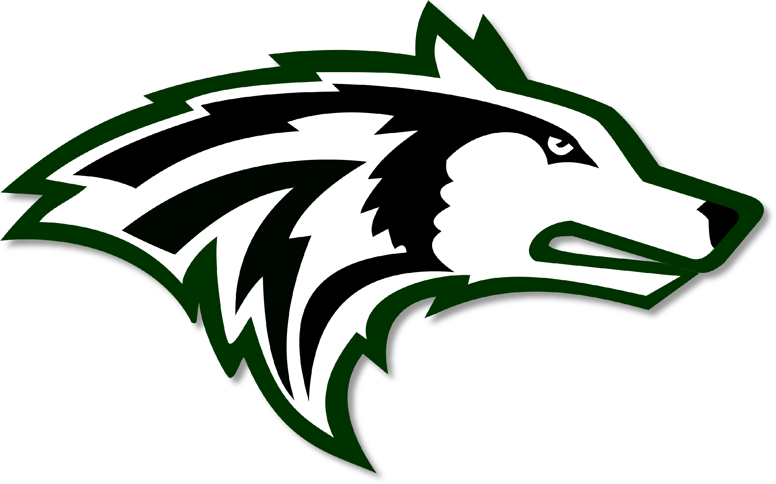 North Marion High School Logo (2956x1853)