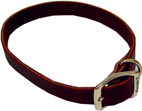 Leather Dog Collar - Strap (700x700)