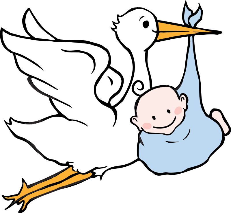 Baby Born Png - Birth Clipart (800x736)