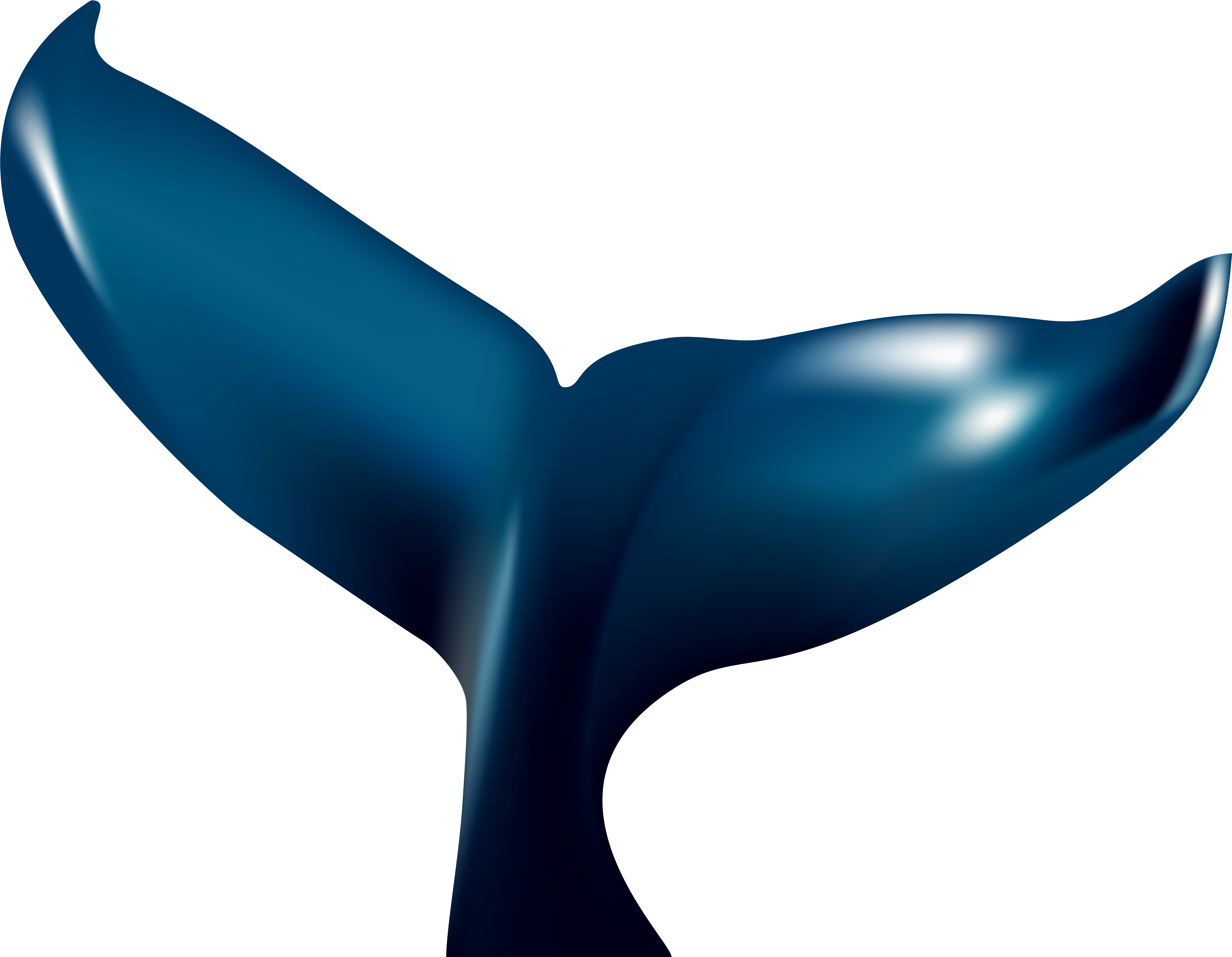 Whale Tale Png Transparent Clip Art Image - Whale Tale Png Transparent Clip Art Image (8000x6099)