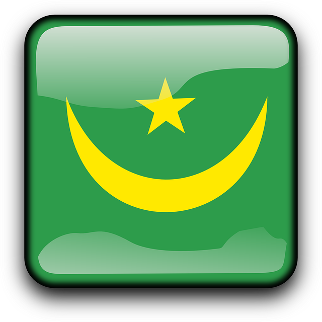 Button Mauritania, Flag, Country, Nationality, Square, - Flag Of Brazil (750x750)
