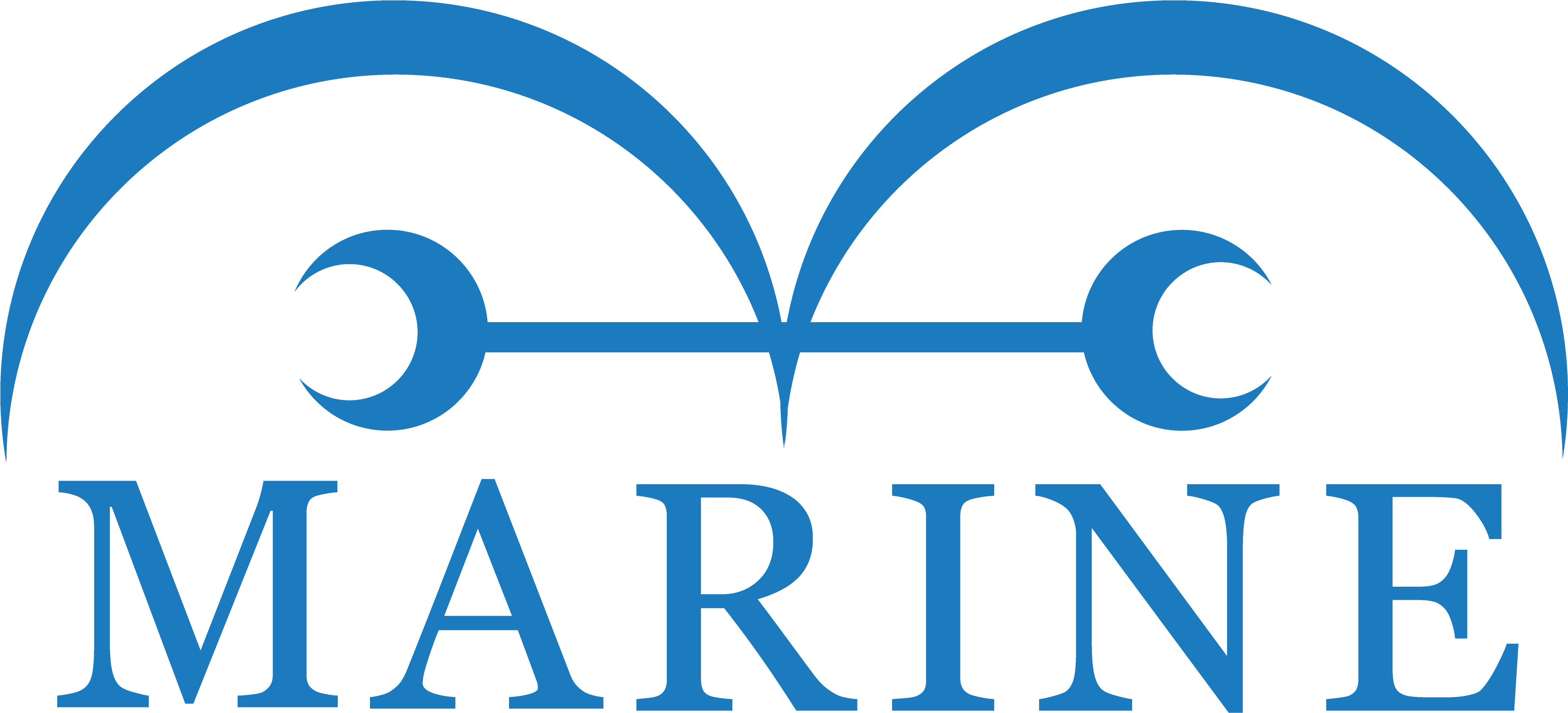 Marine's Flag By Zerocustom1989 Marine's Flag By Zerocustom1989 - One Piece World Government Logo (3945x1966)