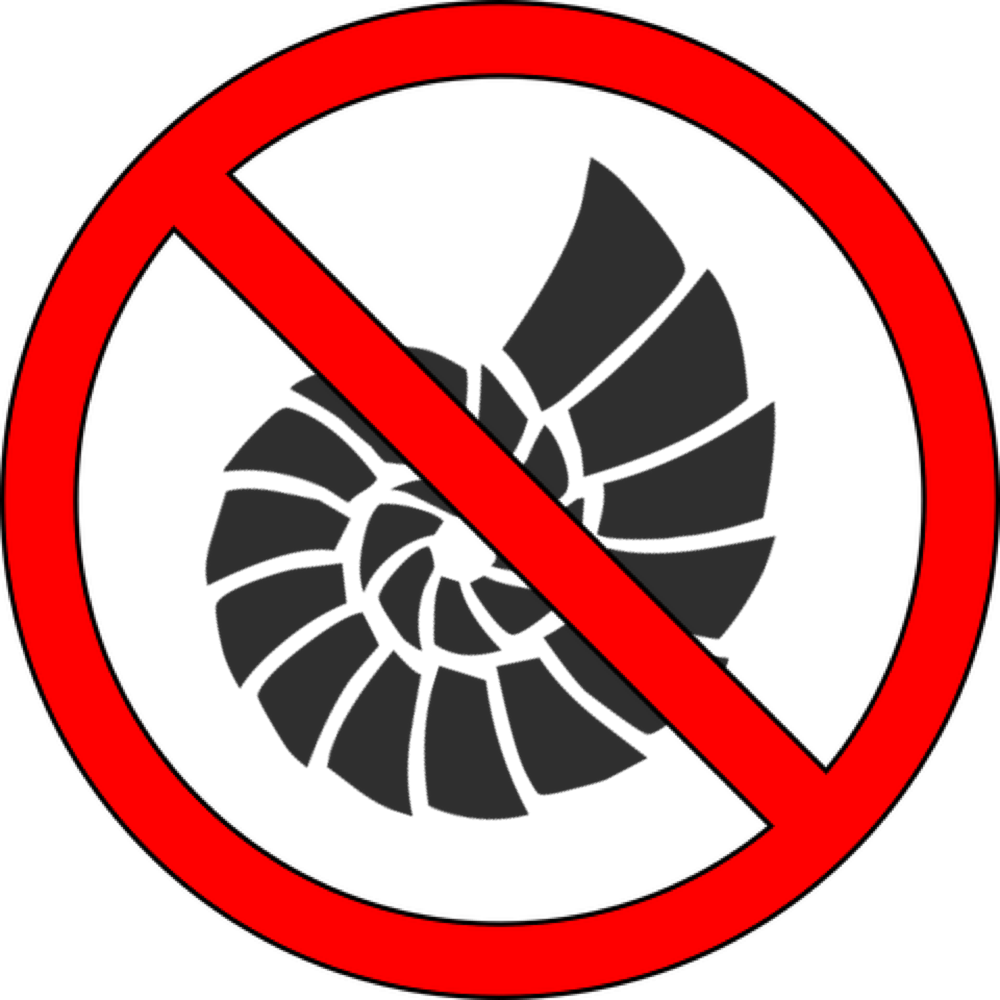 10 Marine Species That Need Protecting - Don T Put Your Hand (1000x1000)