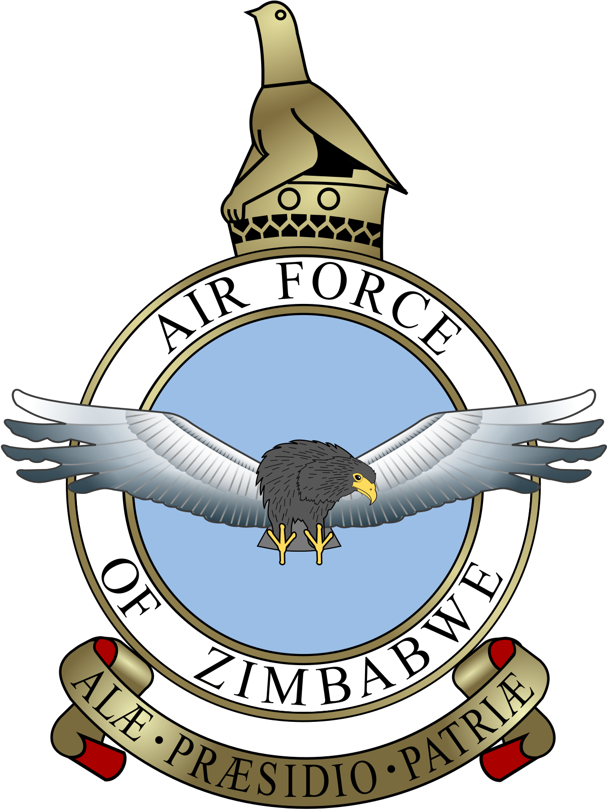 Air Force Of Zimbabwe (1200x1667)
