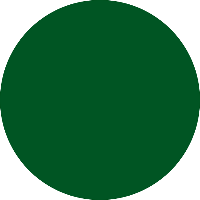 Libyan People's Air Force Roundel And Fin Flash(bottom) - Marketing (705x705)