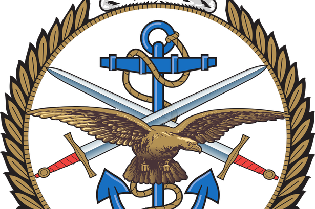 Armed Forces - Armed Forces Day 2017 (615x409)