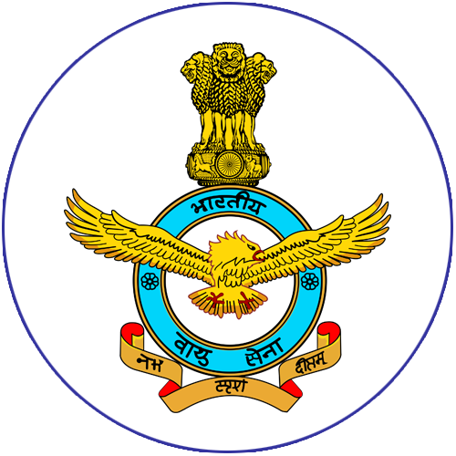 Indian Air Force - National Emblem Of India (500x500)